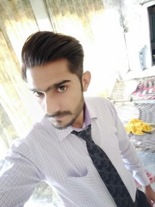 I want to became a true Muslim and true worker of Pakistan peoples party.....ameen