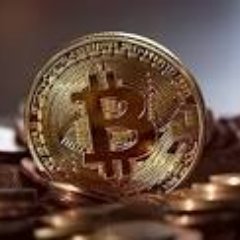 CryptoMudara's profile picture. 