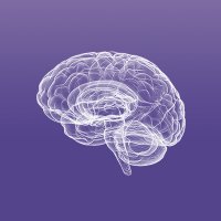 Malnati Brain Tumor Institute at Northwestern (@braintumorinst) 's Twitter Profile