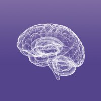 Malnati Brain Tumor Institute at Northwestern(@BrainTumorInst) 's Twitter Profile Photo