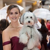 ashleigh and sully (@ashleighnsully) 's Twitter Profile