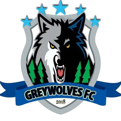 FcGreywolves's profile picture. EA Sports Fifa 19 Pro Clubs VPG Turkey futbol takımı