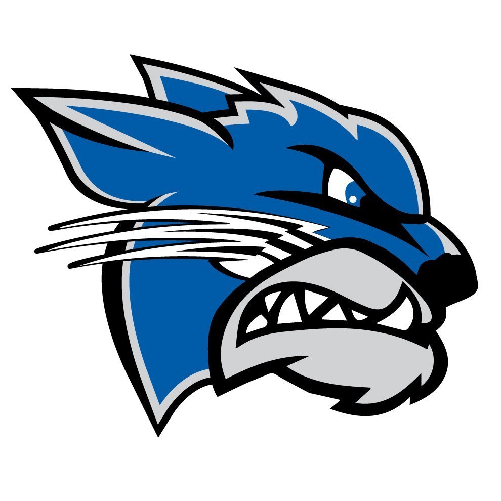 WVESBearcats Profile Picture