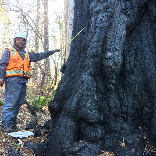 UC Coop Extension Advisor for 𝒇𝙤𝒓𝙚𝒔𝙩𝒔 of the Santa Cruz Mtns of CA. Fire, Redwoods, Mgmt, Ecology, GIS. Here to help with anything forests.