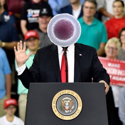 Nucleus4Eukarya's profile picture. Do your job. #VoteNucleus18