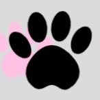 Online dog boutique, selling an array of wonderful dog clothes and accessories.