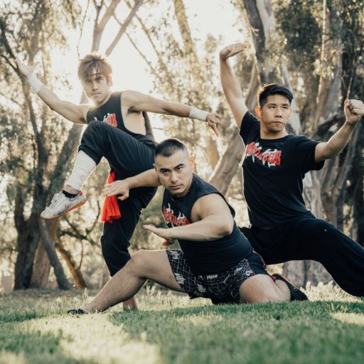 Promoting the virtues and ethics of traditional Martial Arts in a modern world!

Team: Andy Le, Brian Le, Daniel Mah

Youtube: https://t.co/kDOUBteVew