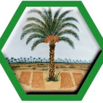 حساب مختص باخبار و فعاليات و مشاريع تنموية و سياحية وكل ما يحدث في ولاية بدية تحت ادارة حمود الحجري هاتف رقم 97791337