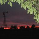 Diane Ray - @duckcrk - Twitter