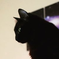 Julen (@julenorbegozo) 's Twitter Profile