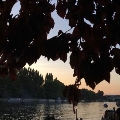 booksaleaum's profile picture. 