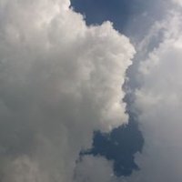Victor (@victor79293412) 's Twitter Profile