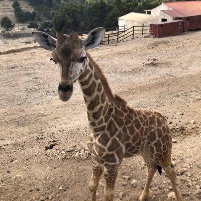 annmerethek's profile picture. 