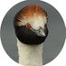 Fernando Suarez (@nandusll1946) Twitter profile photo Fernando Suarez (@nandusll1946) Twitter profile photo