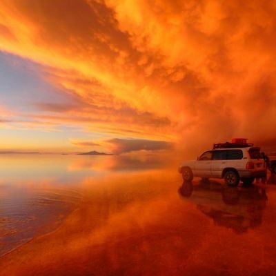 UPFRONT0798's profile picture. 