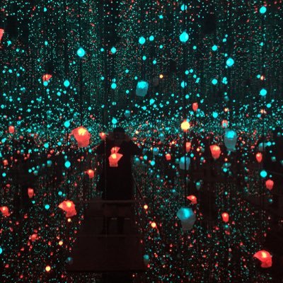 Polypodiaceae's profile picture. A creature of constant forward motion. Ask me about my cat. Blocked by @joelconnelly.