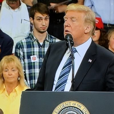 #plaidshirtguy