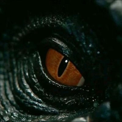 🦖 INTJ & ♏️ A geek(Love #Opensource), developer, TV junkie. I might tweet some other stuff.
