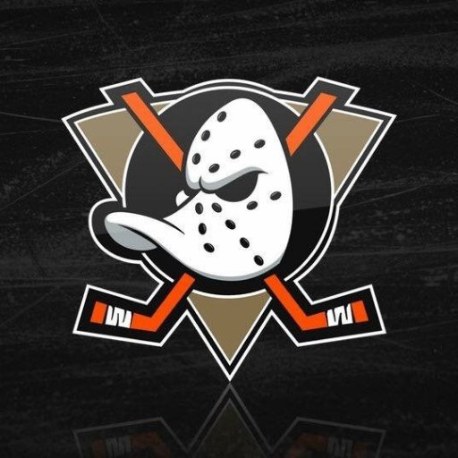 Anaheim Jr Ducks 16 AAA Hockey