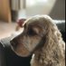 Justine brooks (@brooks_justine) Twitter profile photo Justine brooks (@brooks_justine) Twitter profile photo