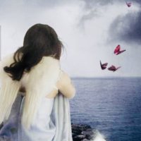 Periwinkle Bob (@bob_periwinkle) 's Twitter Profile