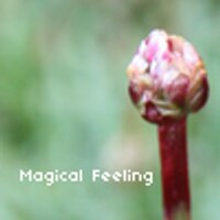 Magical Feeling(@magicalfeeling_) 's Twitter Profileg