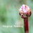 magicalfeeling_'s profile image