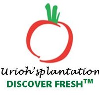 Urioh's Plantation(@UriohP) 's Twitter Profile Photo
