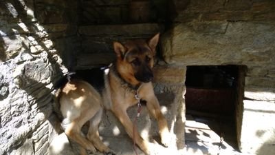 Ogalego4's profile picture. 