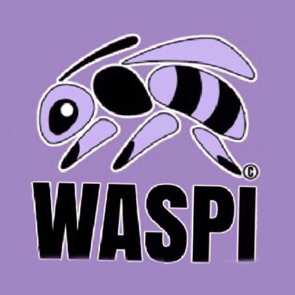 Solent WASPI