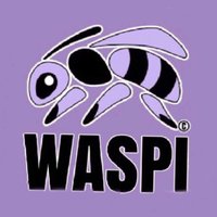 Solent WASPI(@solent_waspi) 's Twitter Profile Photo