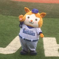 タマちゃん (@355022abe) 's Twitter Profile Photo タマちゃん (@355022abe) 's Twitter Profile Photo