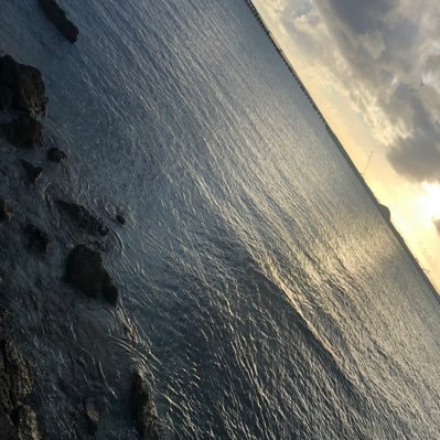 ttttaaaa1111111's profile picture. 