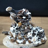 日々の雑記帳 (@scnpf) 's Twitter Profile