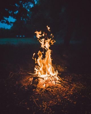 whaelseisnew's profile picture. 