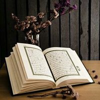 Daily Qur'an Verses(@VerseQuran) 's Twitter Profile Photo