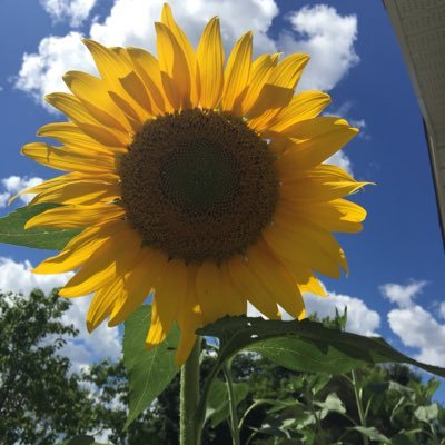 Mrs_James5's profile picture. Teacher - DPCDSB - St. Monica