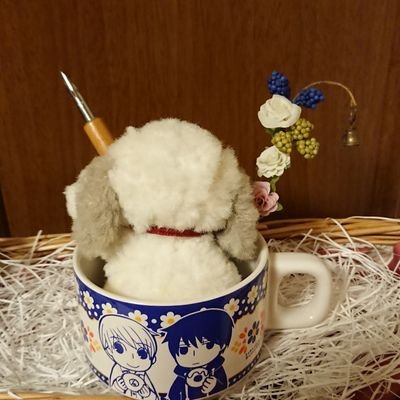 お京chanさんのプロフィール画像