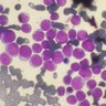 dr_jo_ash's profile picture. Pathologist,