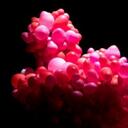 Benedict Lau - @Benedictlau0711 - Twitter