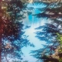 Marlene Florkow (@marleneflorkow) 's Twitter Profile Photo