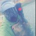 K.Agrégateur 👽 (@k_quar) Twitter profile photo K.Agrégateur 👽 (@k_quar) Twitter profile photo