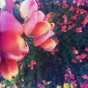 Tabitha Wynn - @TabbyWynnwrites - Twitter