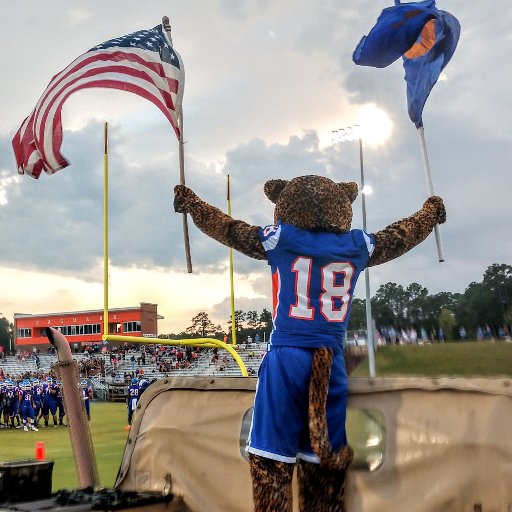 Official mascot for Athens Drive HS. ADN for life.