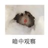 kenan2002mx's profile picture. 我的爱好就是逗你玩