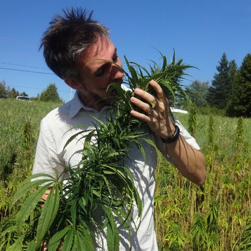 Associate Professor at Université de Moncton focusing on the biology of plants and their pathogens, especially cannabis.