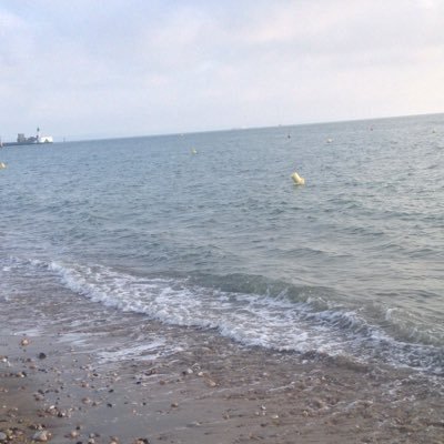 blockup7811's profile picture. 