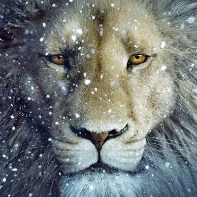 Aslan on X: Welcome, Peter, Son of Adam, said Aslan. Welcome, Susan and  Lucy, Daughters of Eve. But where is the fourth?  #TheLiontheWitchandtheWardrobe #Narnia #Aslan #CSLewis   / X