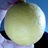 DanBrolli's profile image