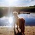 Louise Coffey (@louisecoffey) Twitter profile photo Louise Coffey (@louisecoffey) Twitter profile photo